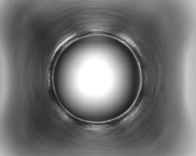 X0000085760782200703161117