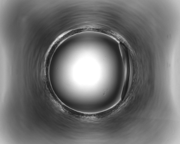 X0000085760784200703161117
