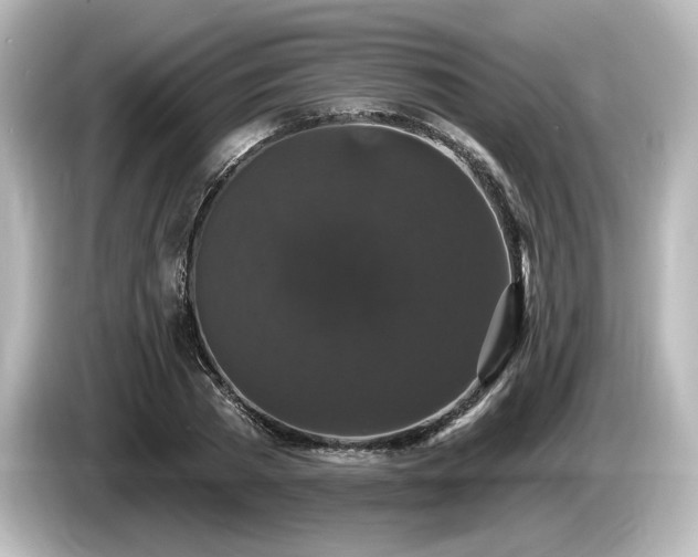 X0000085760785200703161117