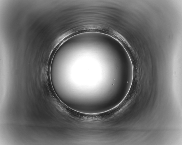 X0000085760786200703161117