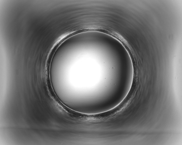 X0000085760787200703161117