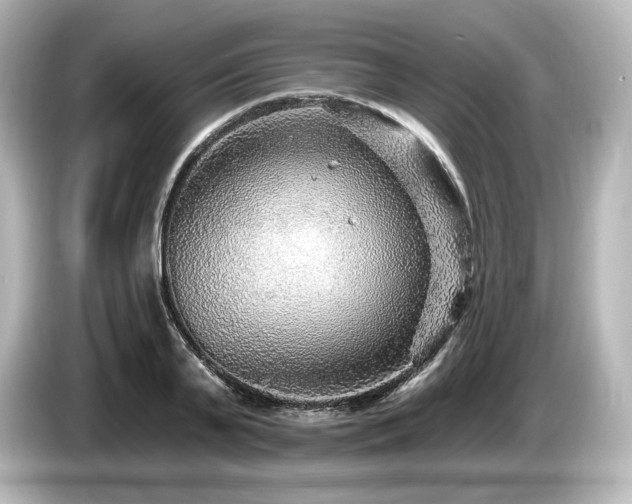 X0000085760791200703161117