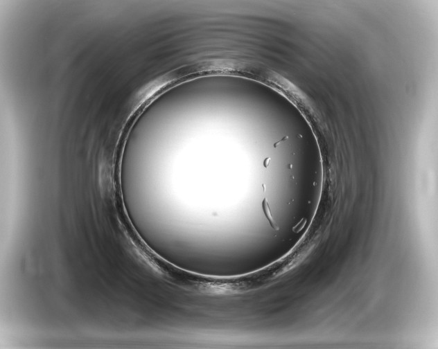 X0000085760794200703161117
