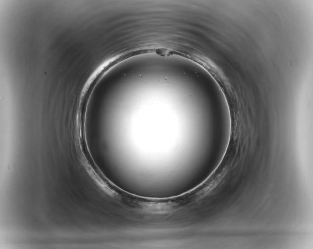 X0000085760796200703161117