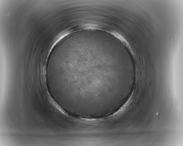 X0000085760798200703161117