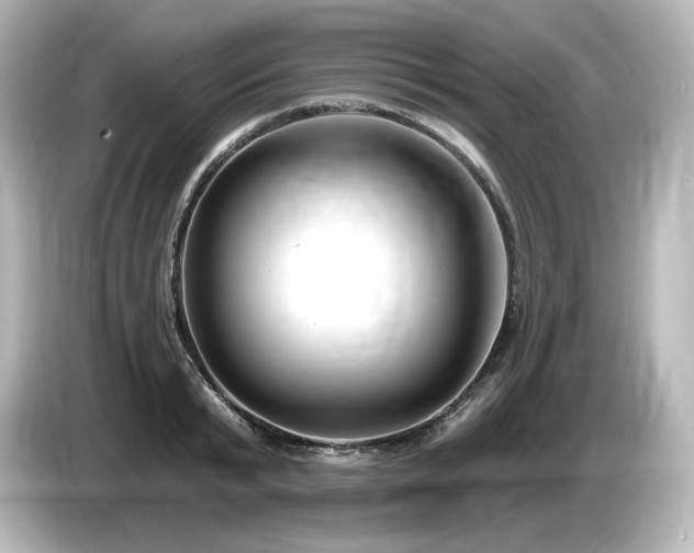 X0000085760799200703161117