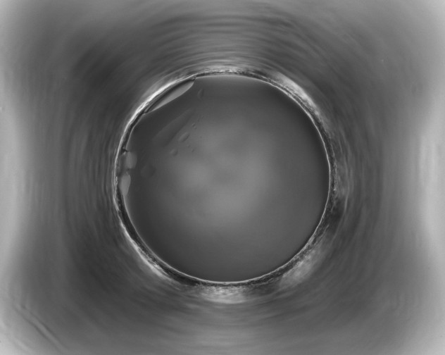 X0000085760802200703161116