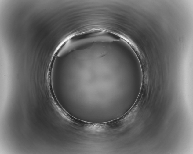 X0000085760806200703161116
