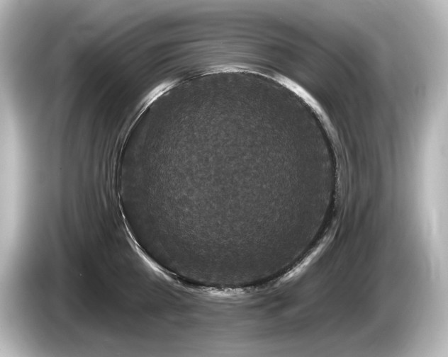 X0000085760809200703161116