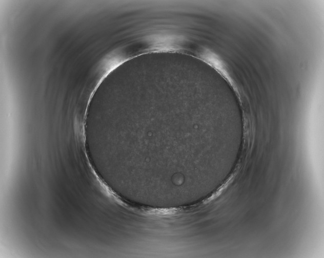 X0000085760810200703161116