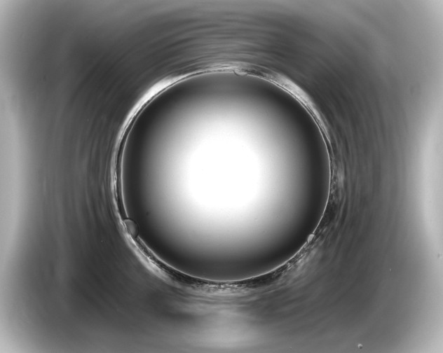 X0000085760811200703161116