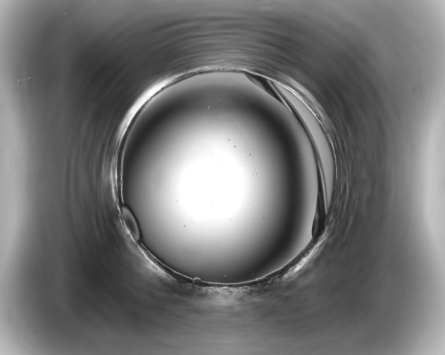 X0000085760812200703161116
