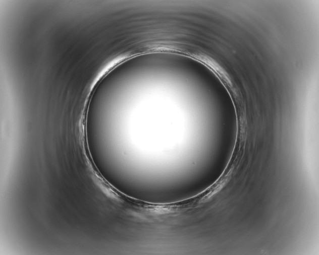 X0000085760814200703161116
