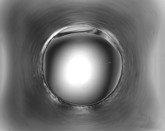 X0000085760816200703161116