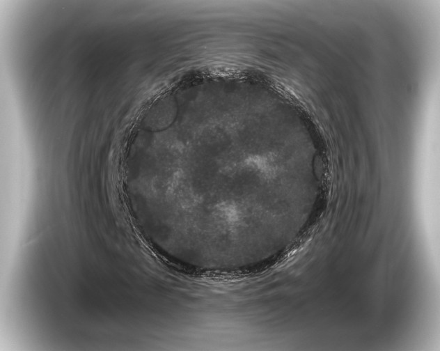 X0000085760817200703161116