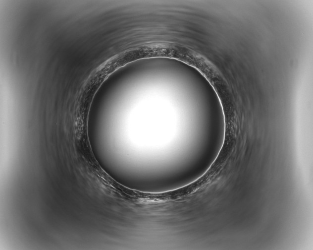 X0000085760821200703161116