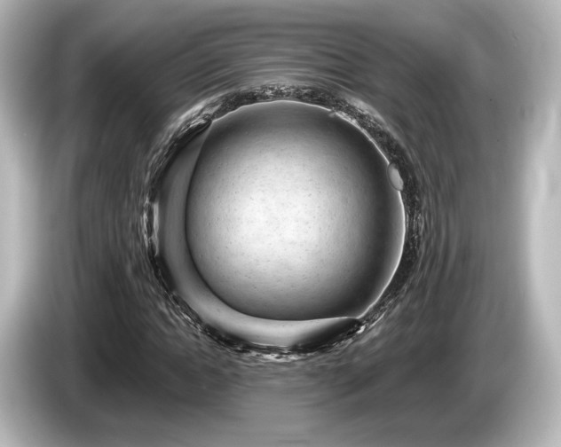 X0000085760822200703161116