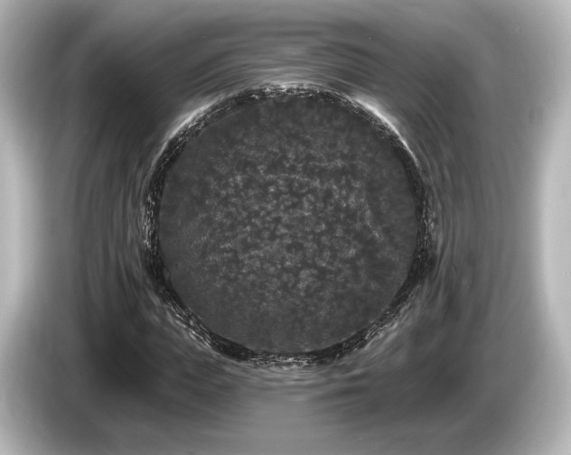 X0000085760823200703161116
