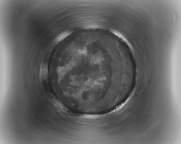 X0000085760825200703161116