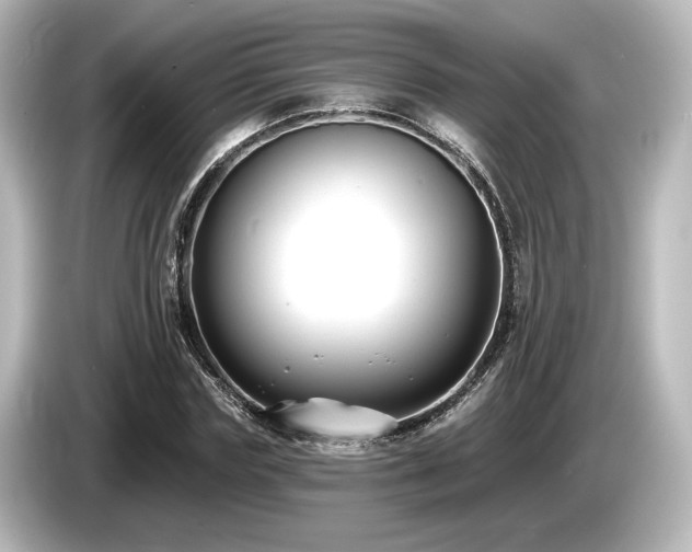 X0000085760827200703161116