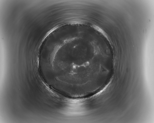 X0000085760829200703161116