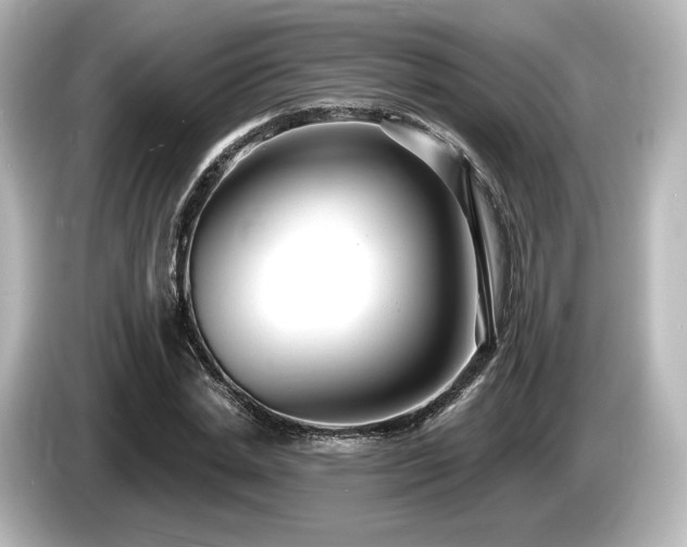 X0000085760830200703161116