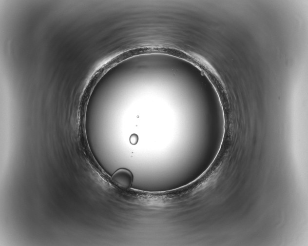 X0000085760831200703161116