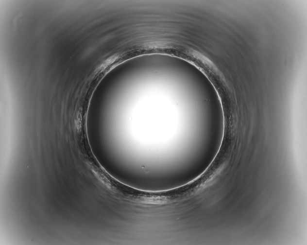X0000085760833200703161116