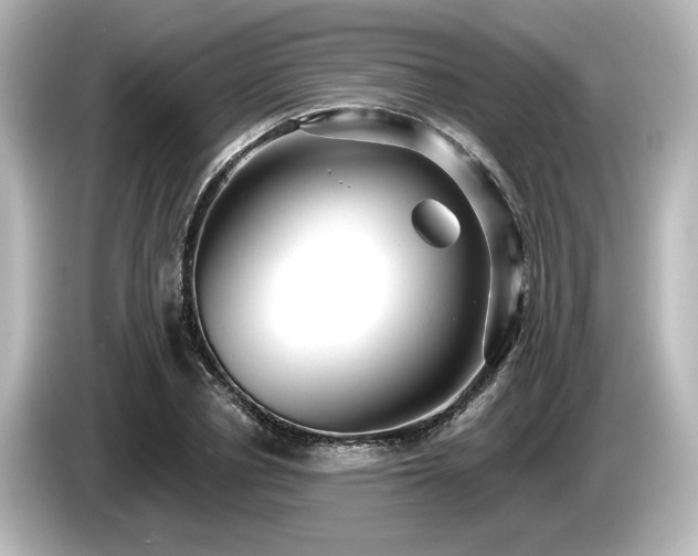 X0000085760834200703161116