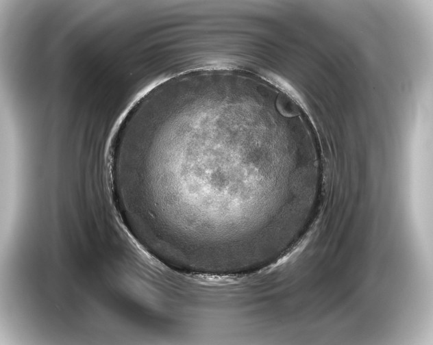 X0000085760835200703161116