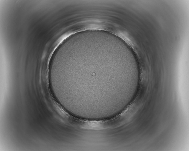 X0000085760836200703161116