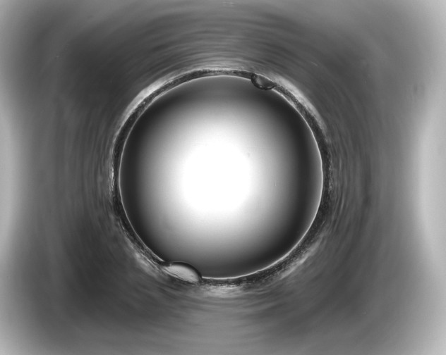 X0000085760837200703161116