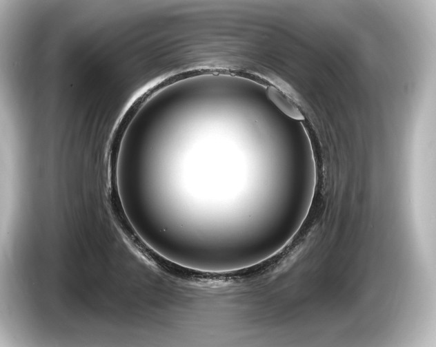 X0000085760838200703161116