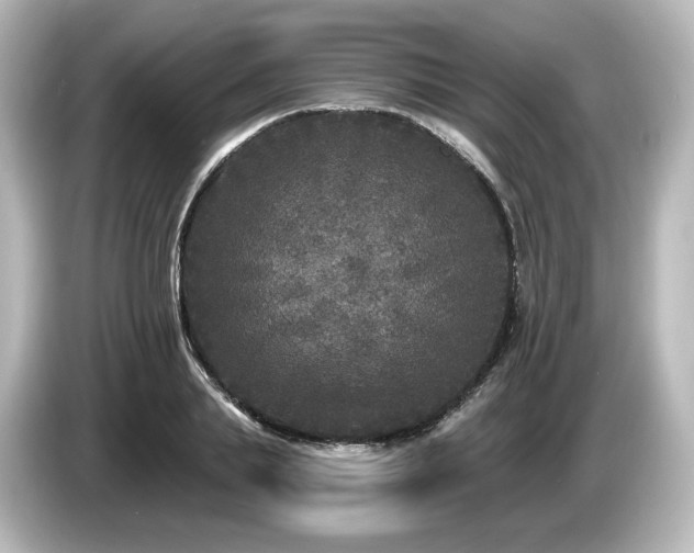 X0000085760839200703161116