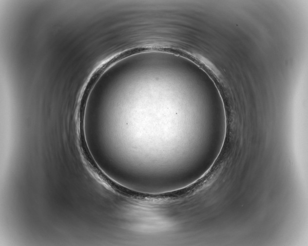X0000085760840200703161116