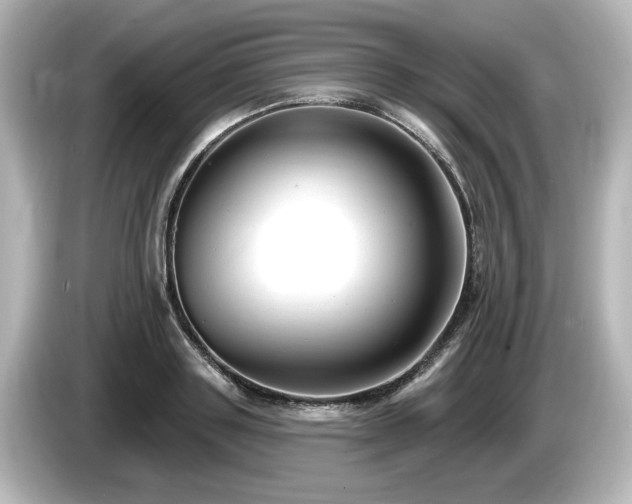 X0000085760843200703161116