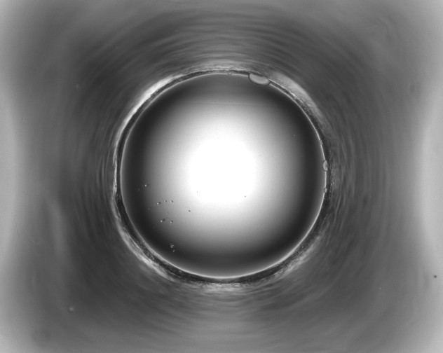 X0000085760844200703161116
