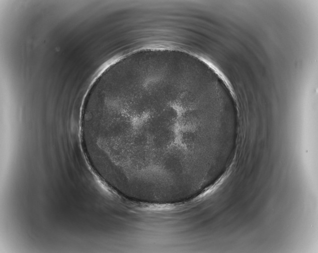 X0000085760845200703161116