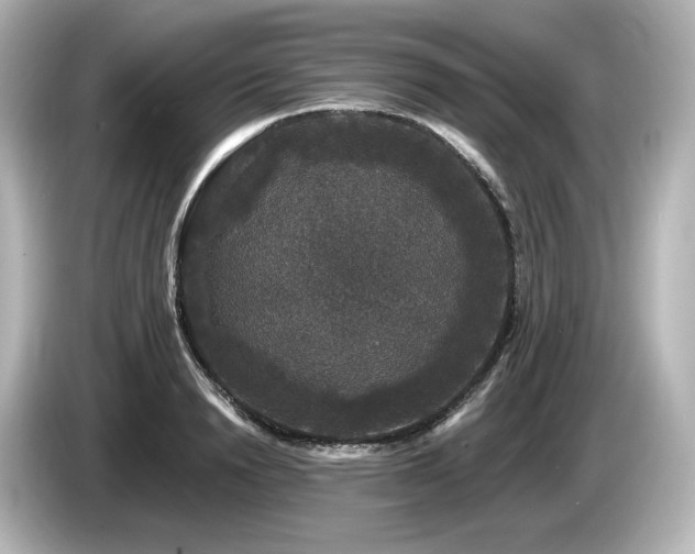 X0000085760846200703161116