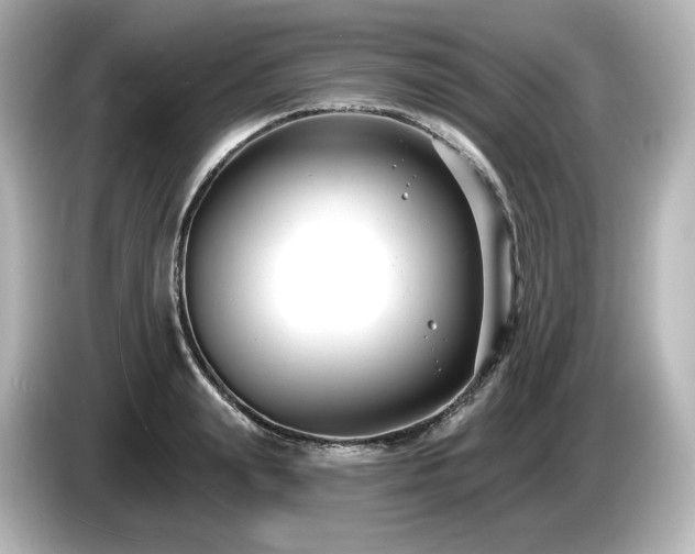 X0000085760847200703161116