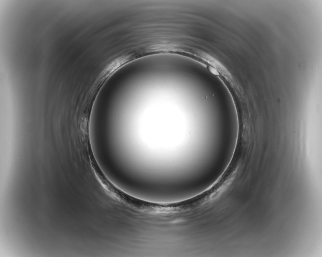 X0000085760849200703161116