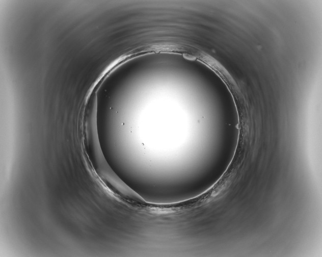 X0000085760852200703161116