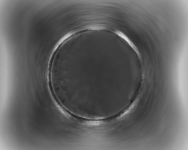 X0000085760853200703161116