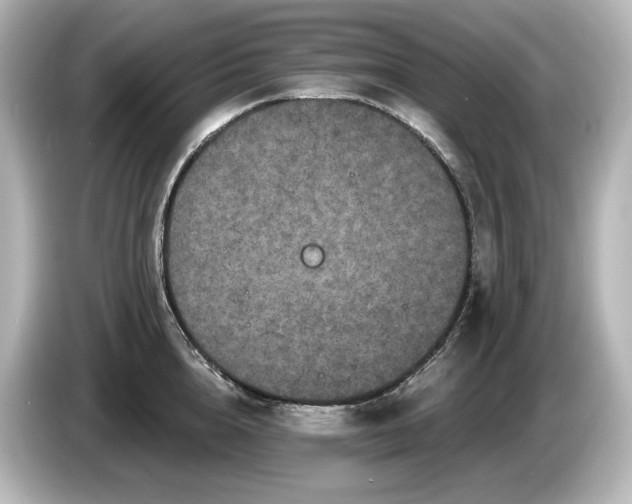 X0000085760856200703161116