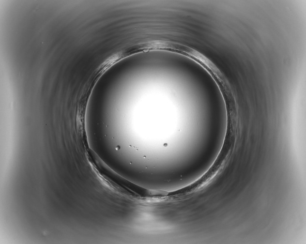 X0000085760857200703161116