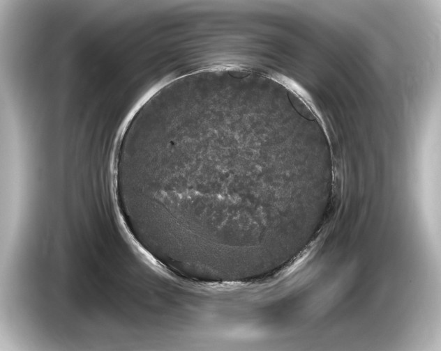 X0000085760859200703161116