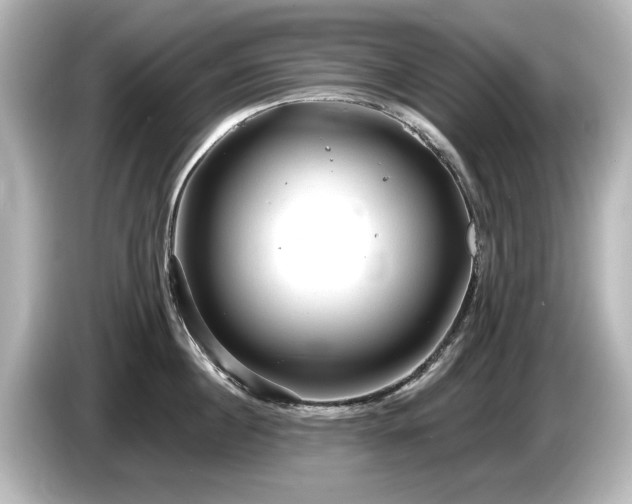 X0000085760860200703161116