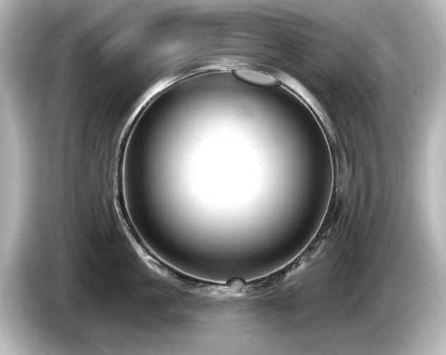 X0000085760861200703161116