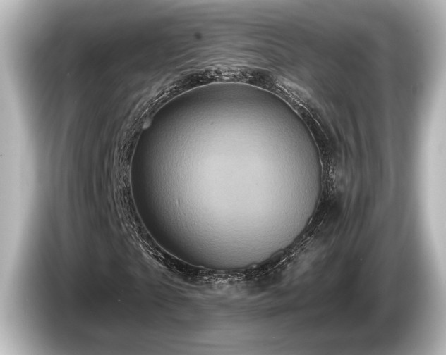 X0000085760865200703161116