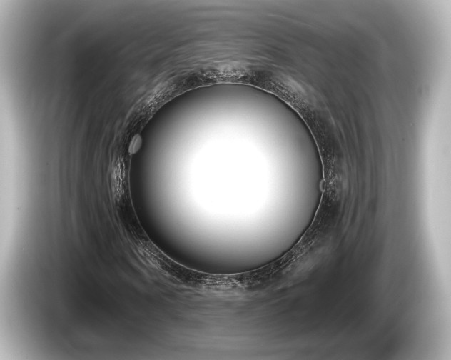 X0000085760866200703161116